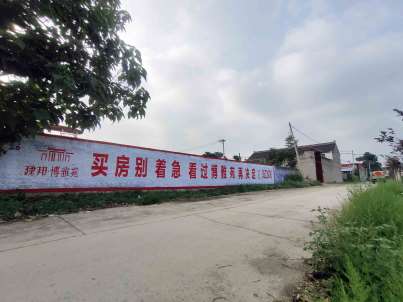 墙语者 乡镇墙面上的中国商业脉动